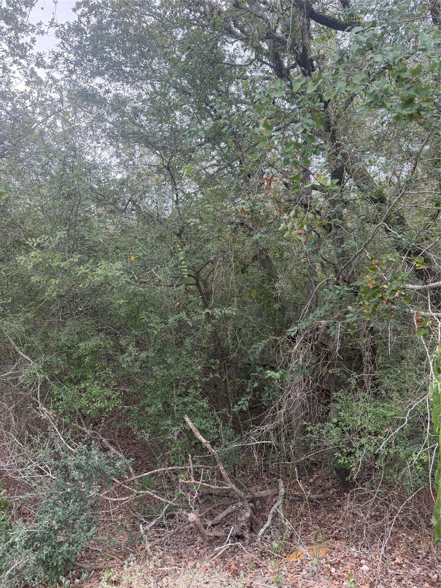 123 Mokuleia CIR, Bastrop, TX 78602