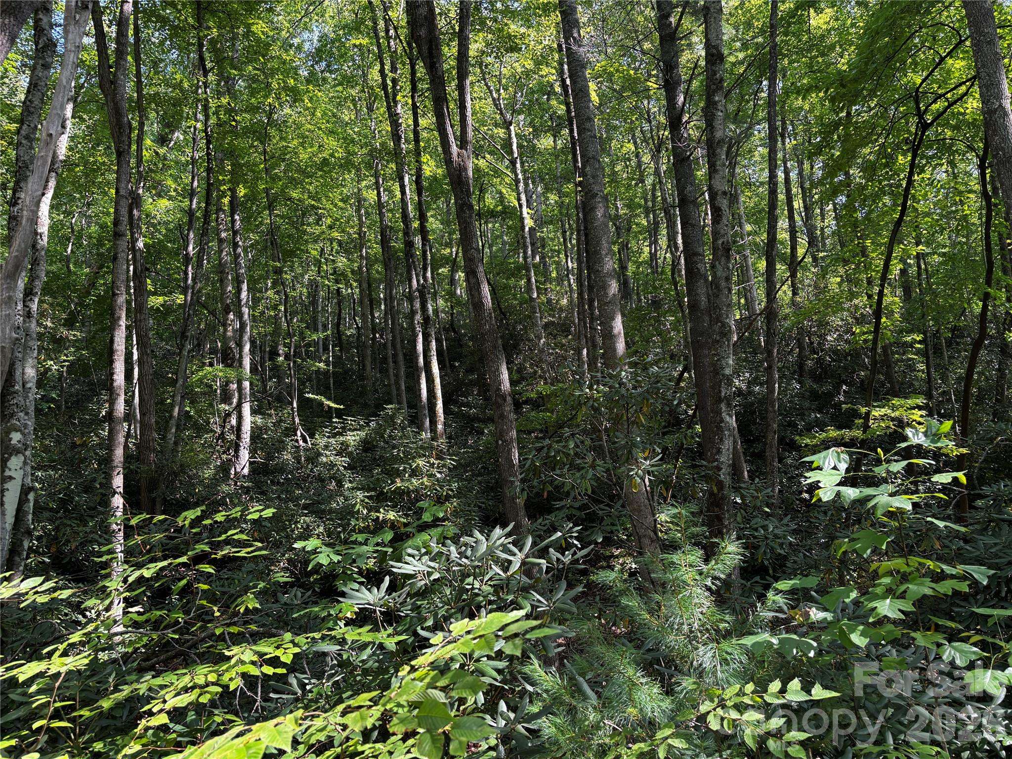 00 Burnette Reeves RD, Leicester, NC 28748