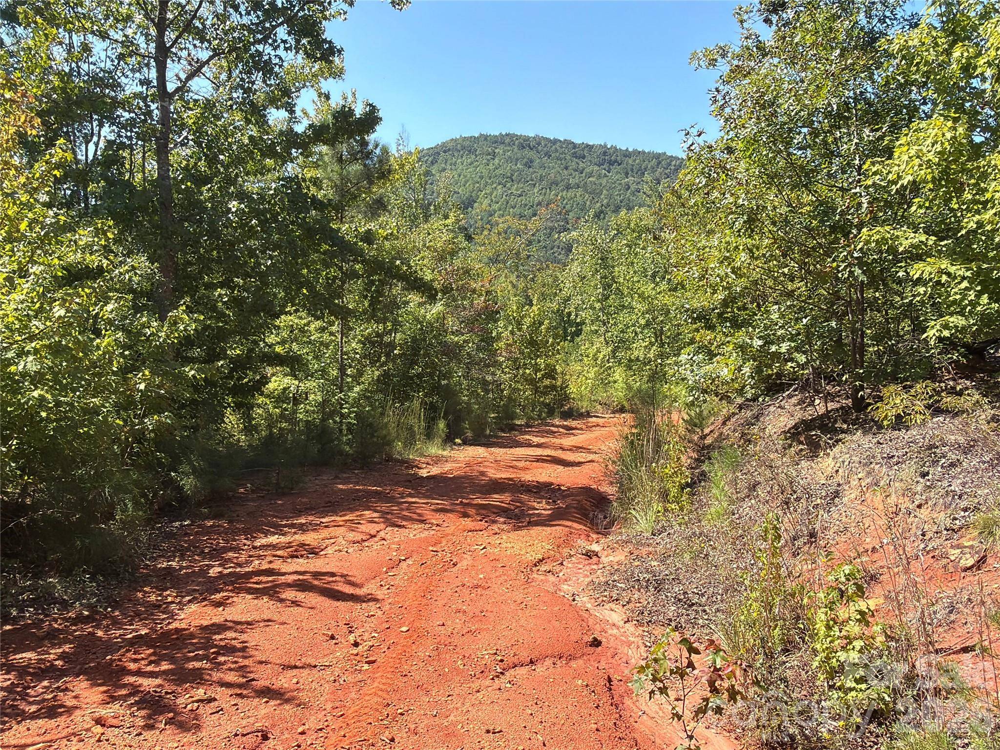 00 Camp Knob RD, Casar, NC 28020