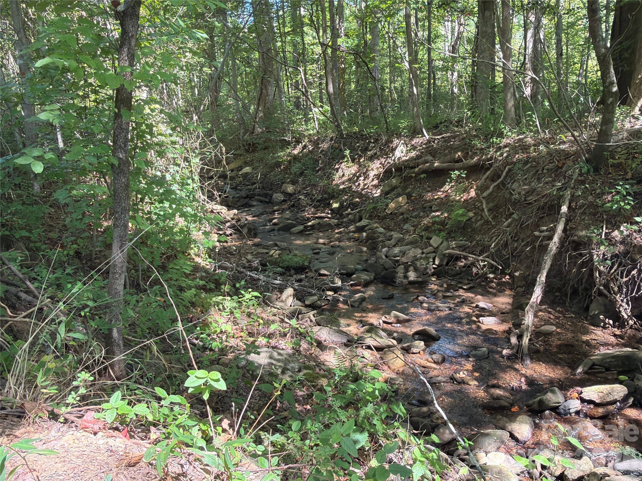 00 Camp Knob RD, Casar, NC 28020
