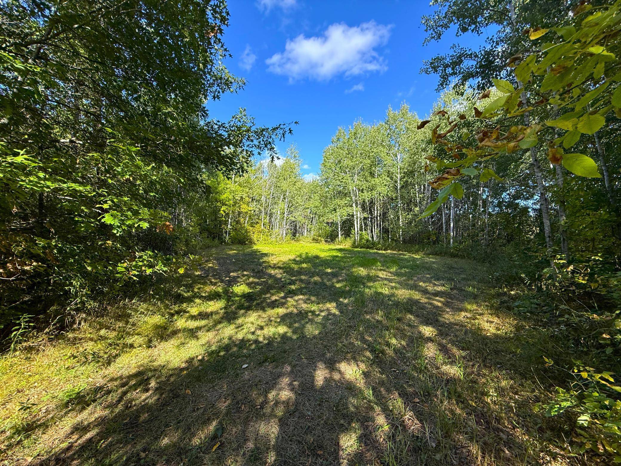 12084 County Road 144, Brainerd, MN 56401