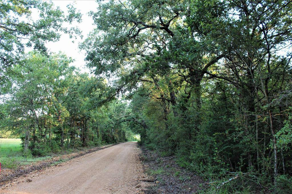 29 Co Rd 271A, Cameron, TX 76520