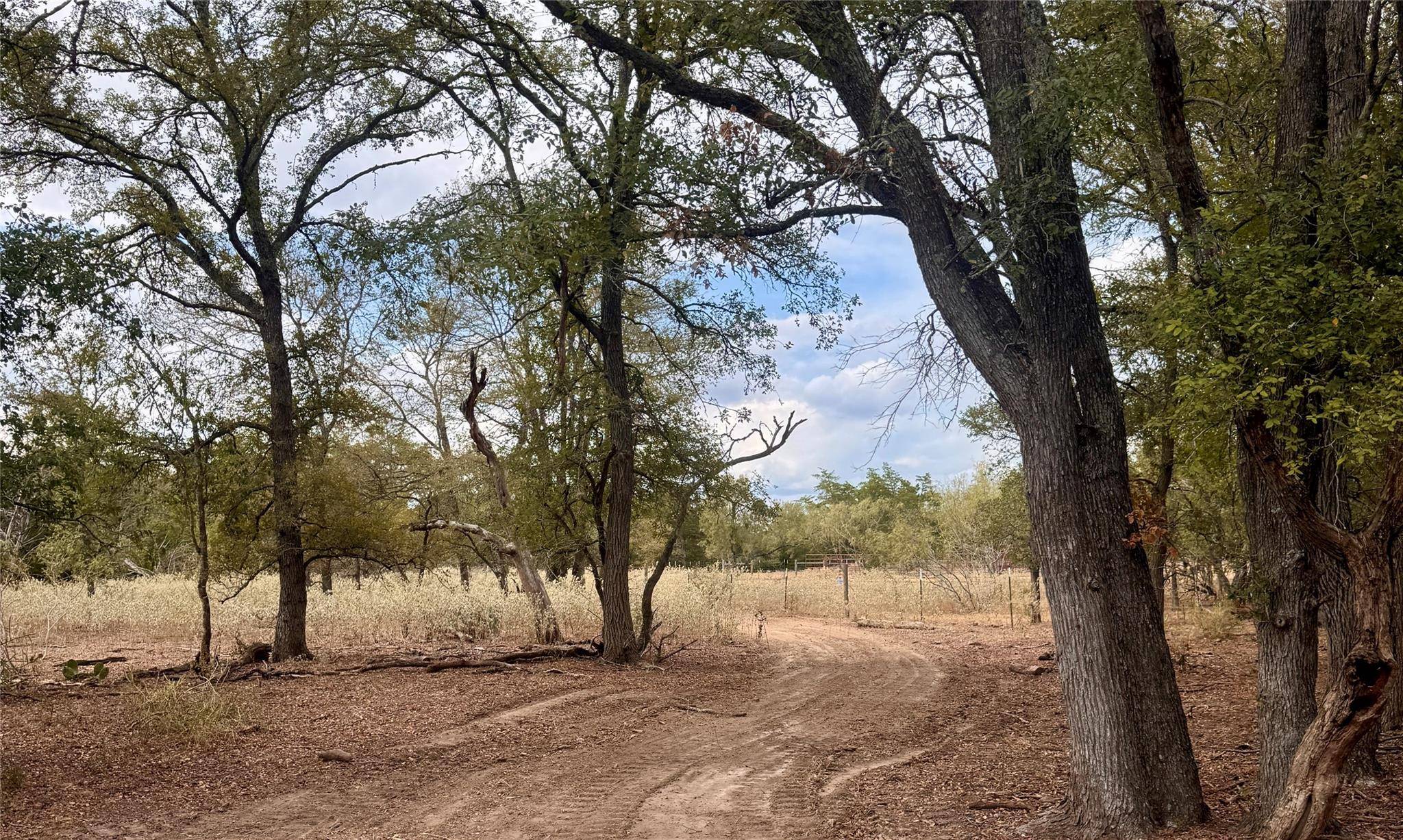 12 Acres Mt Pleasant RD, Cedar Creek, TX 78612