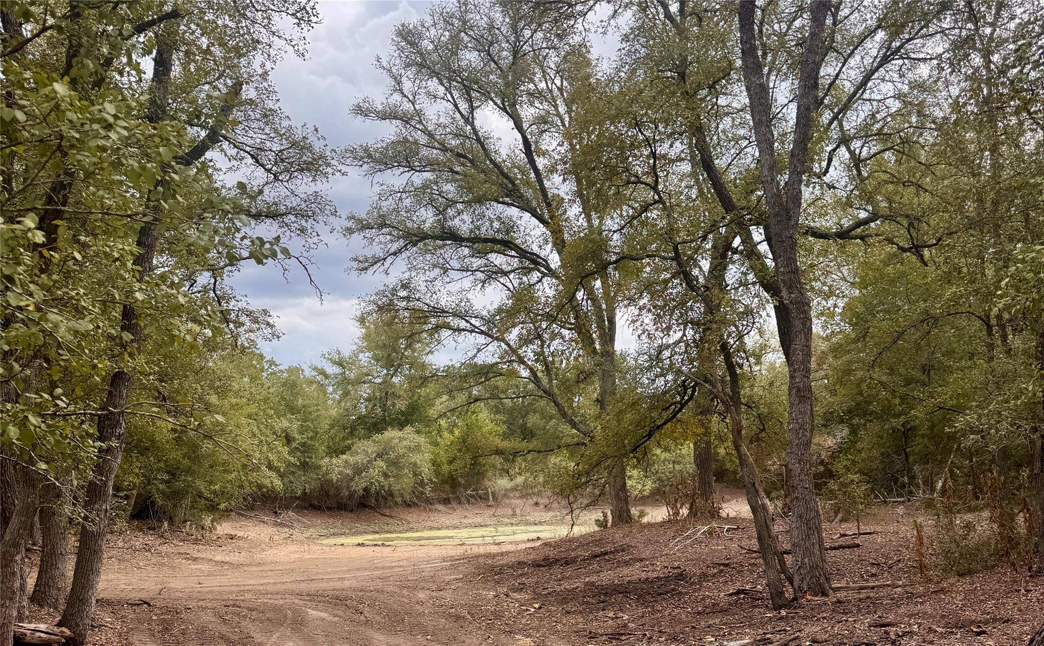 12 Acres Mt Pleasant RD, Cedar Creek, TX 78612