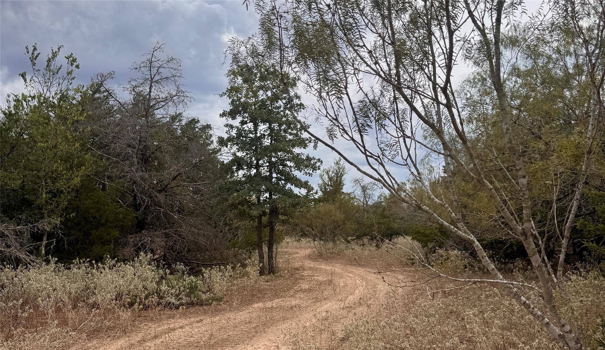 12 Acres Mt Pleasant RD, Cedar Creek, TX 78612