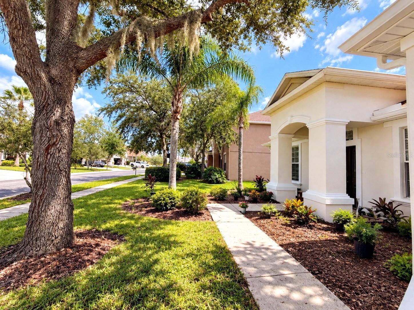 27042 FIREBUSH DR, Wesley Chapel, FL 33544