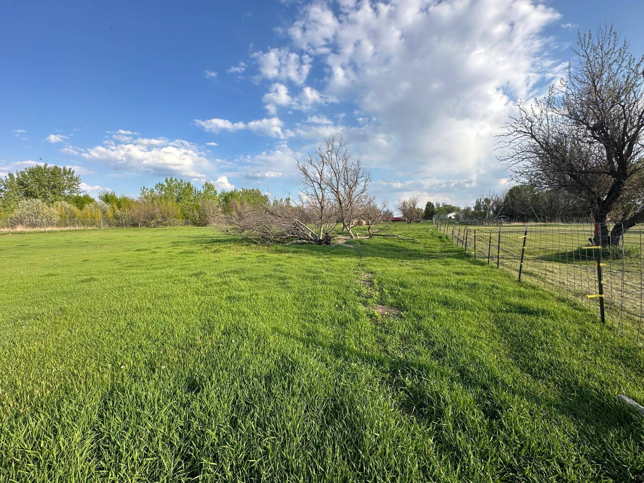1582 NE Freedom AVE, Manvel, ND 58256