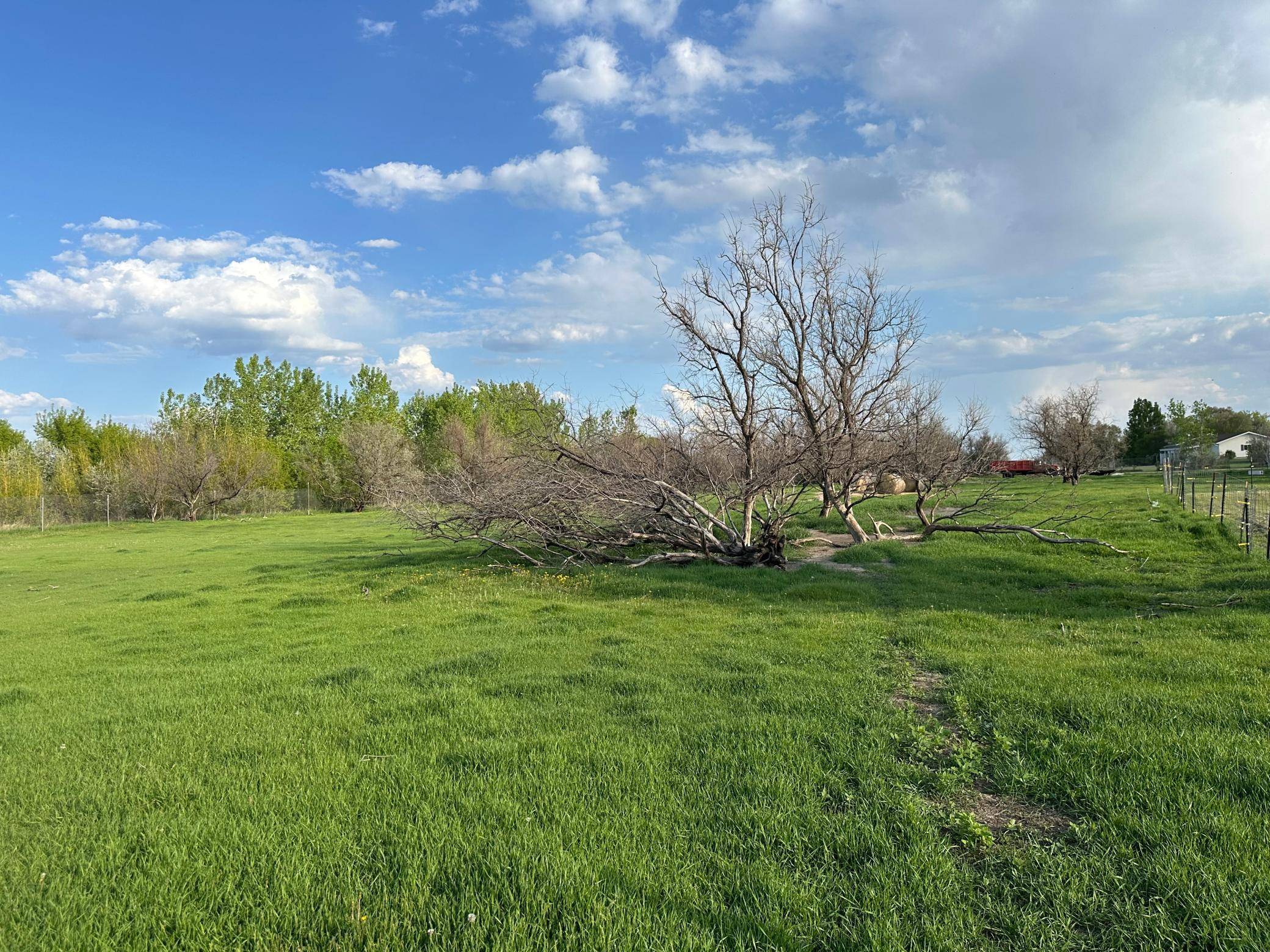 1582 NE Freedom AVE, Manvel, ND 58256