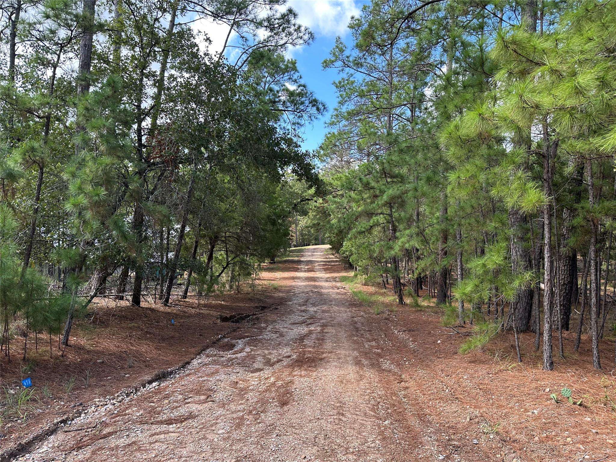 TBD Otto Lane & Red Fox RD, La Grange, TX 78945