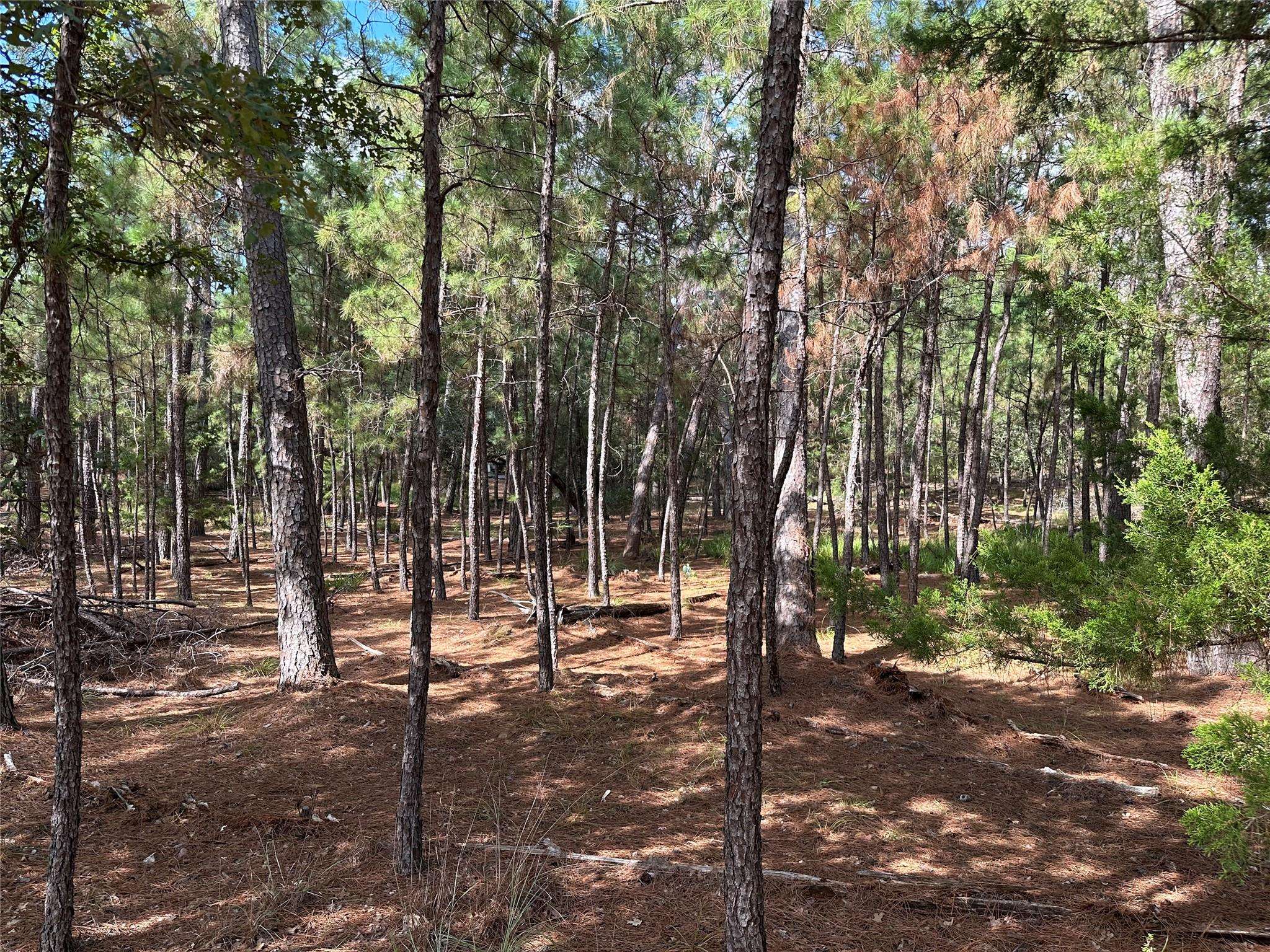 TBD Otto Lane & Red Fox RD, La Grange, TX 78945