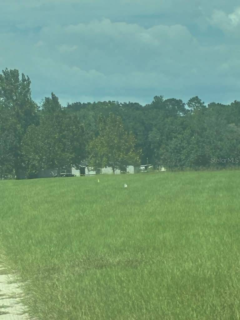 9851 NE 60 ST, Bronson, FL 32621