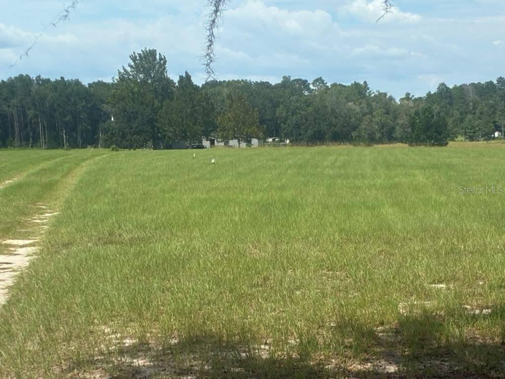 9851 NE 60 ST, Bronson, FL 32621