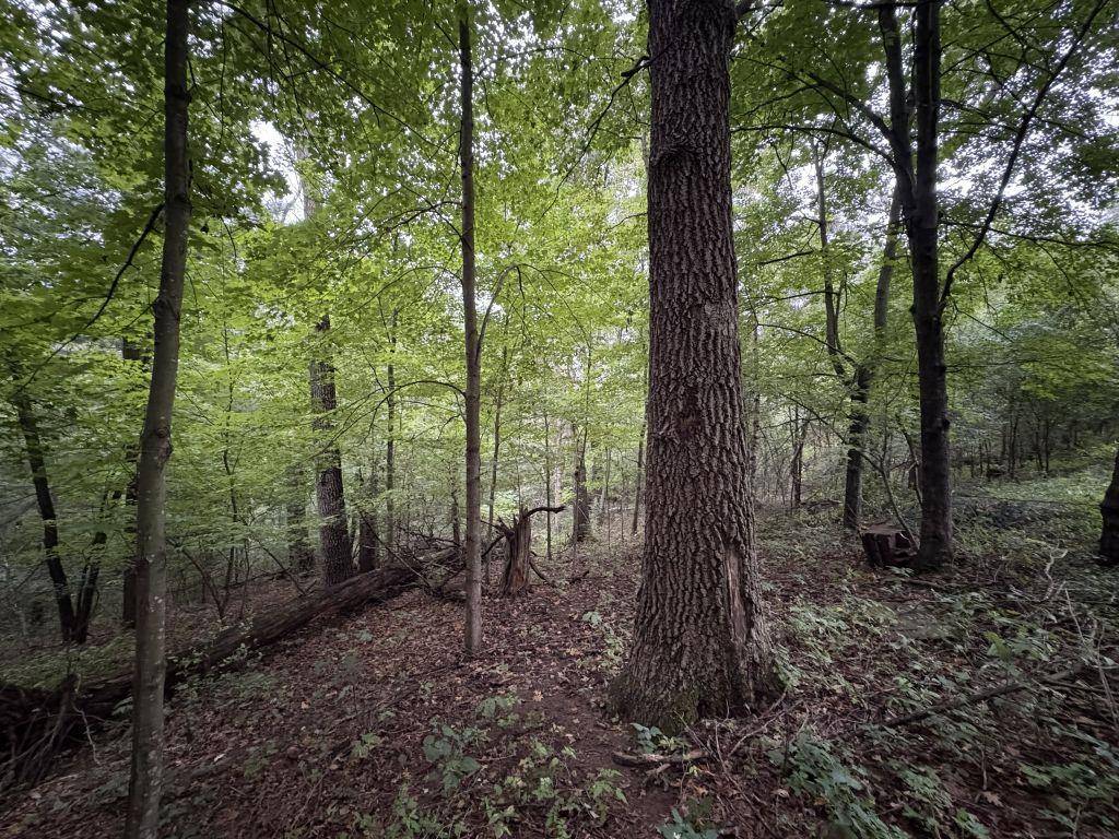 1880 60th AVE, Osceola, WI 54020