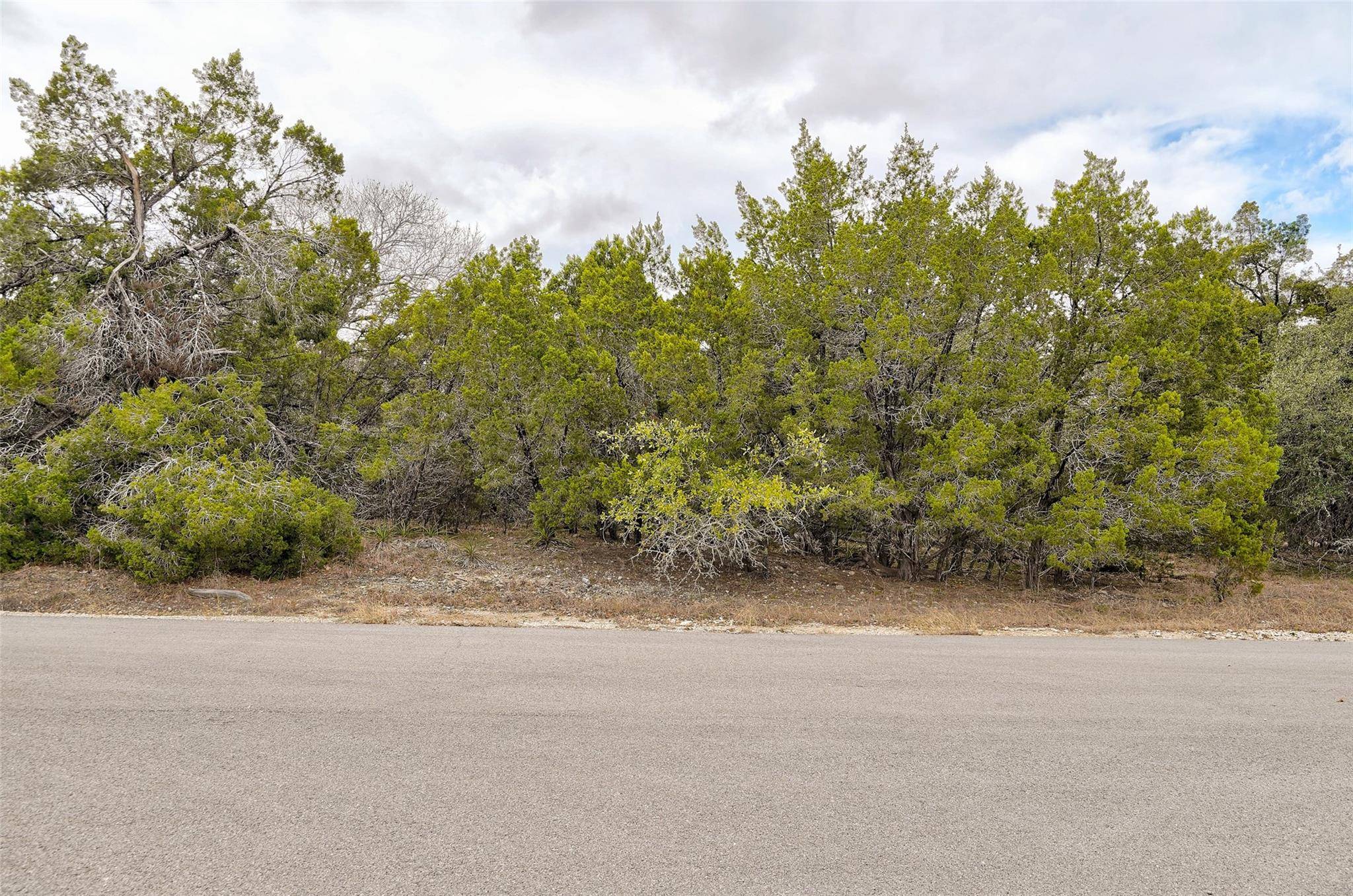 20607 Fawn Ridge DR, Leander, TX 78645