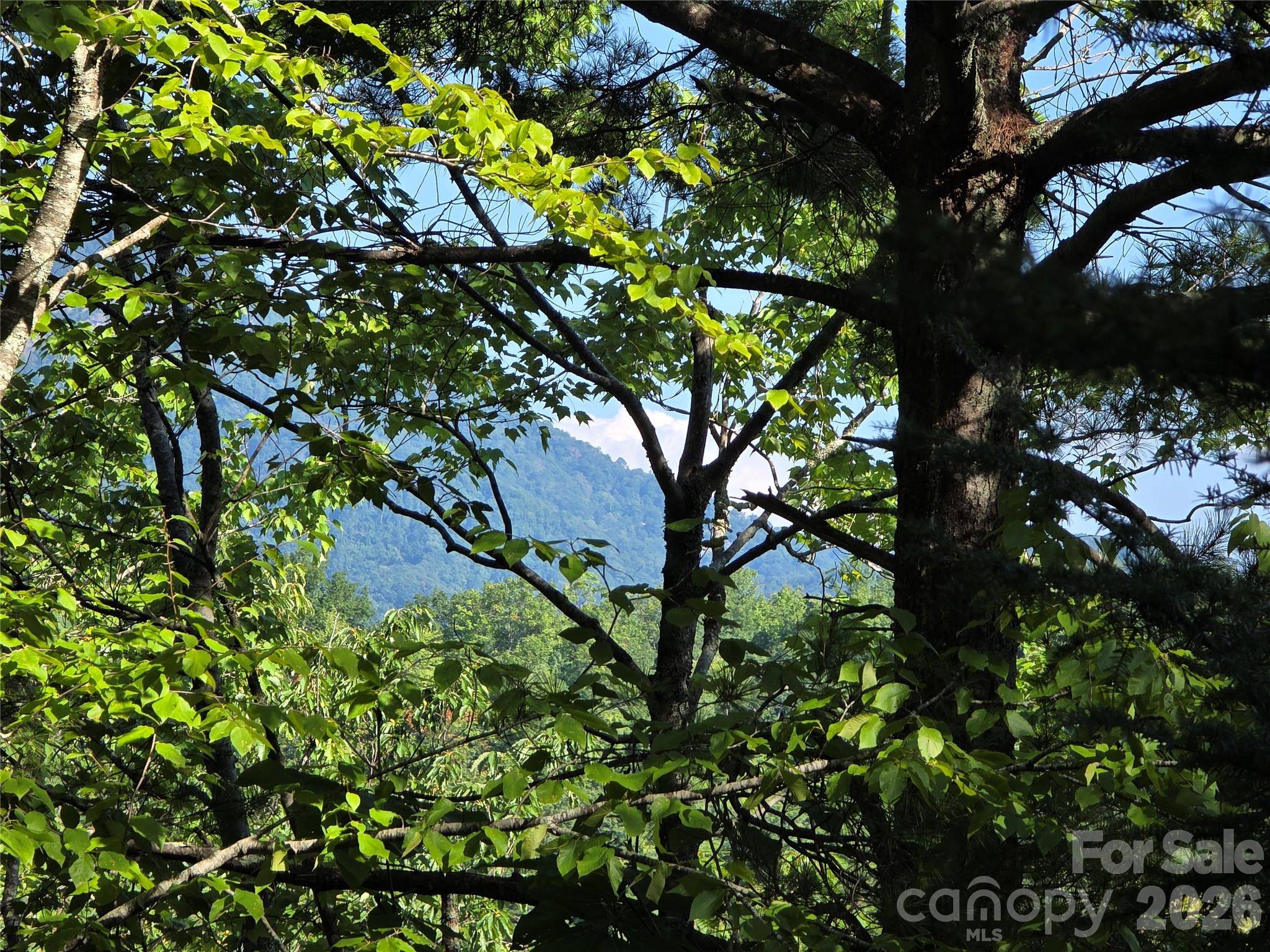 Lot 14B,15B Sequoyah CIR, Marion, NC 28752