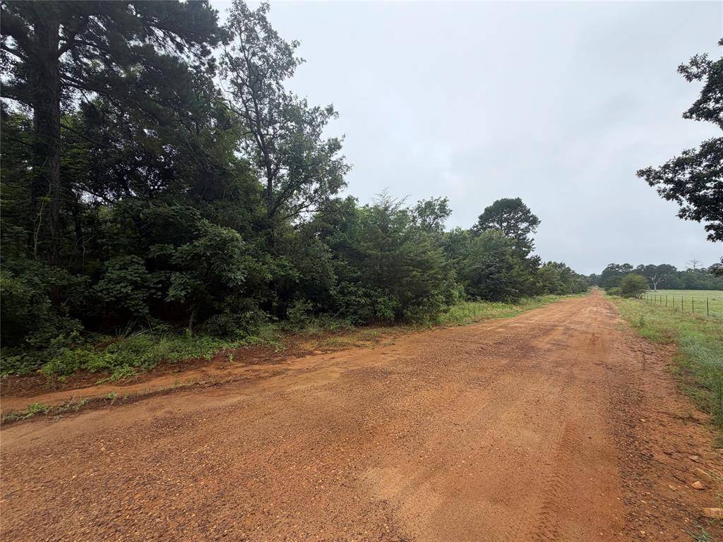 TBD County Road 3999, Winnsboro, TX 75494