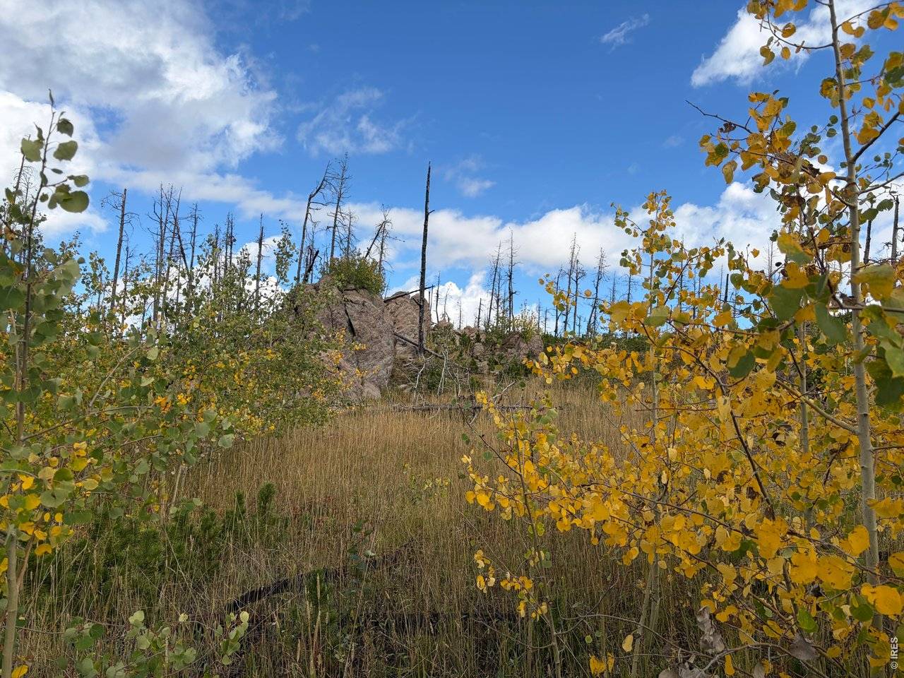 2025 Granite, Bellvue, CO 80512