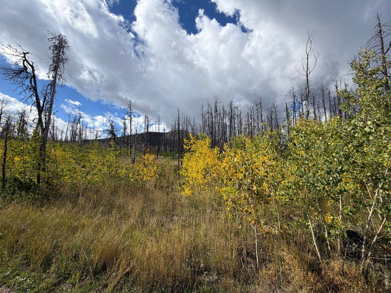 2025 Granite, Bellvue, CO 80512
