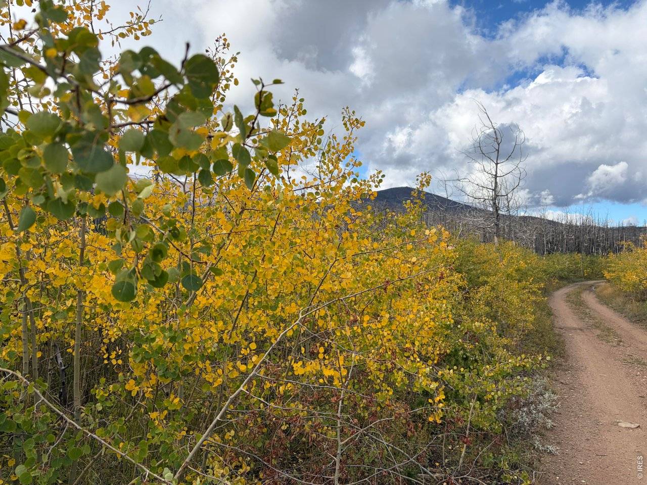 2025 Granite, Bellvue, CO 80512