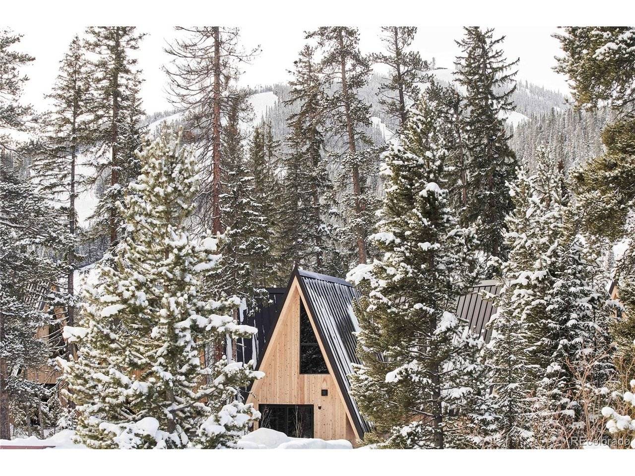 1008 Winter Park Drive #31, Winter Park, CO 80482