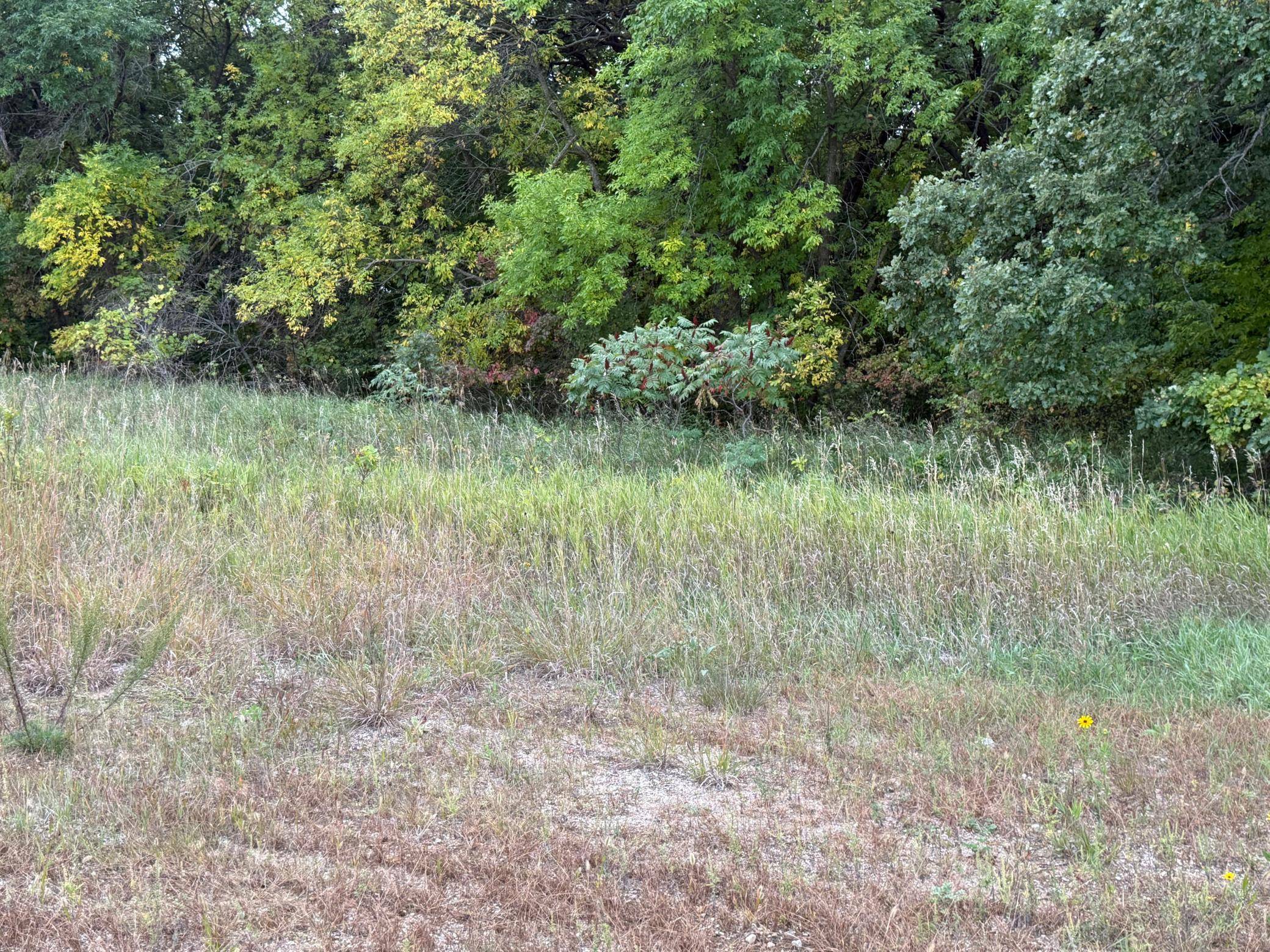 Lot 11 TBD Creek View Drive, Pelican Rapids, MN 56572