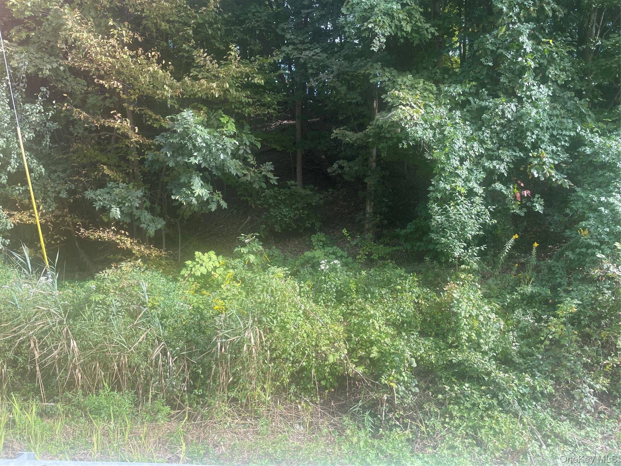 3632 RTE. 9., Hyde Park, NY 12601