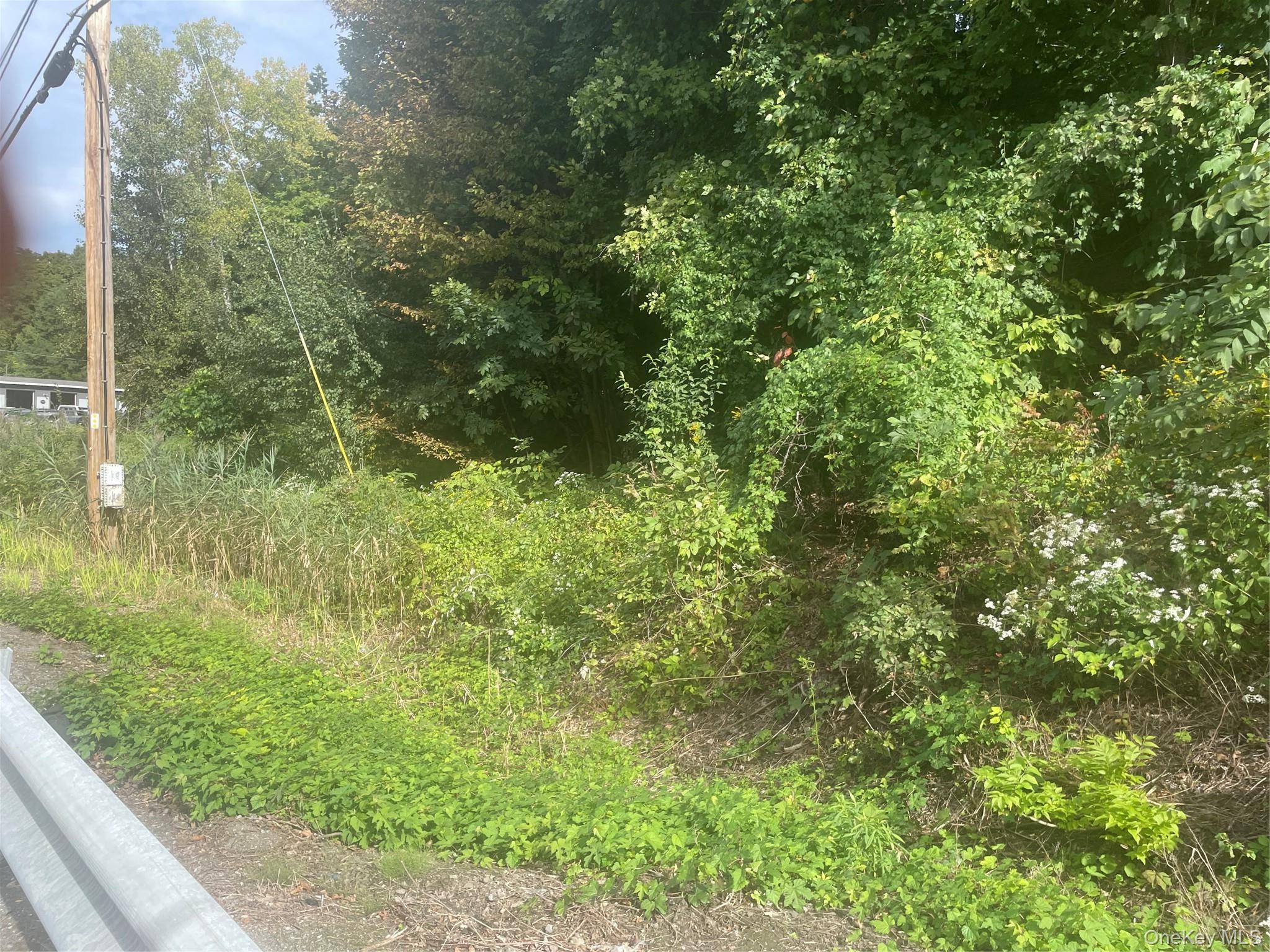 3632 RTE. 9., Hyde Park, NY 12601