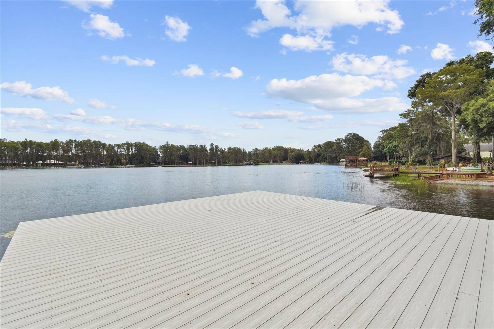 17018 DENNIS RD, Lutz, FL 33558