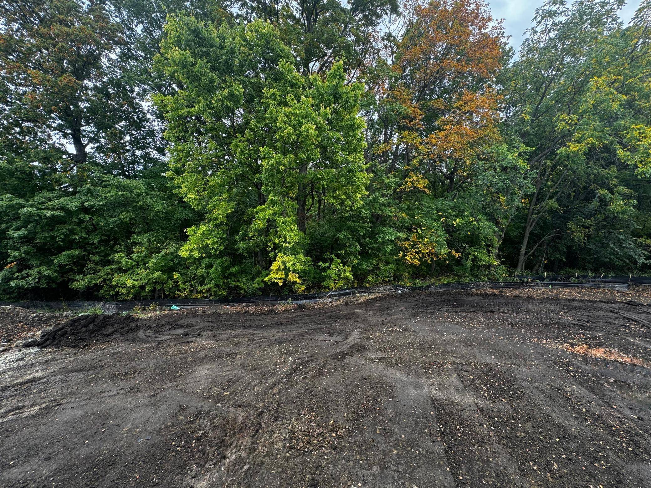 1906 Timber LN, Carver, MN 55315
