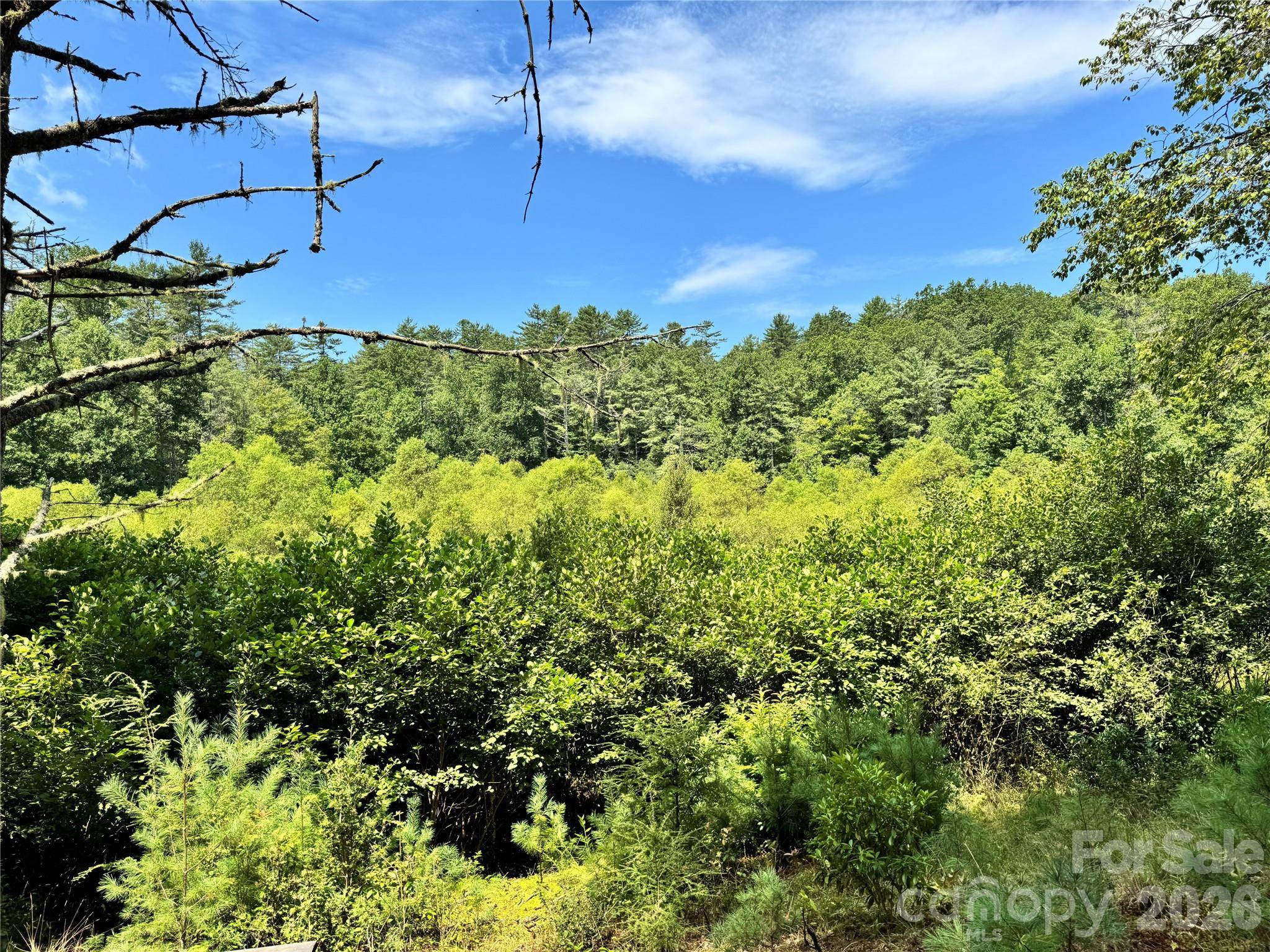 361 Rooster CV, Brevard, NC 28712