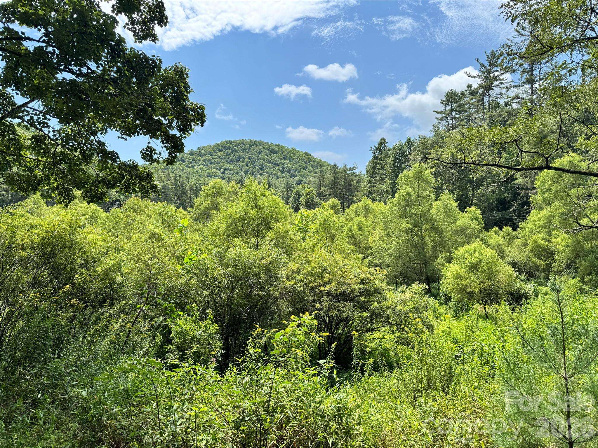 361 Rooster CV, Brevard, NC 28712