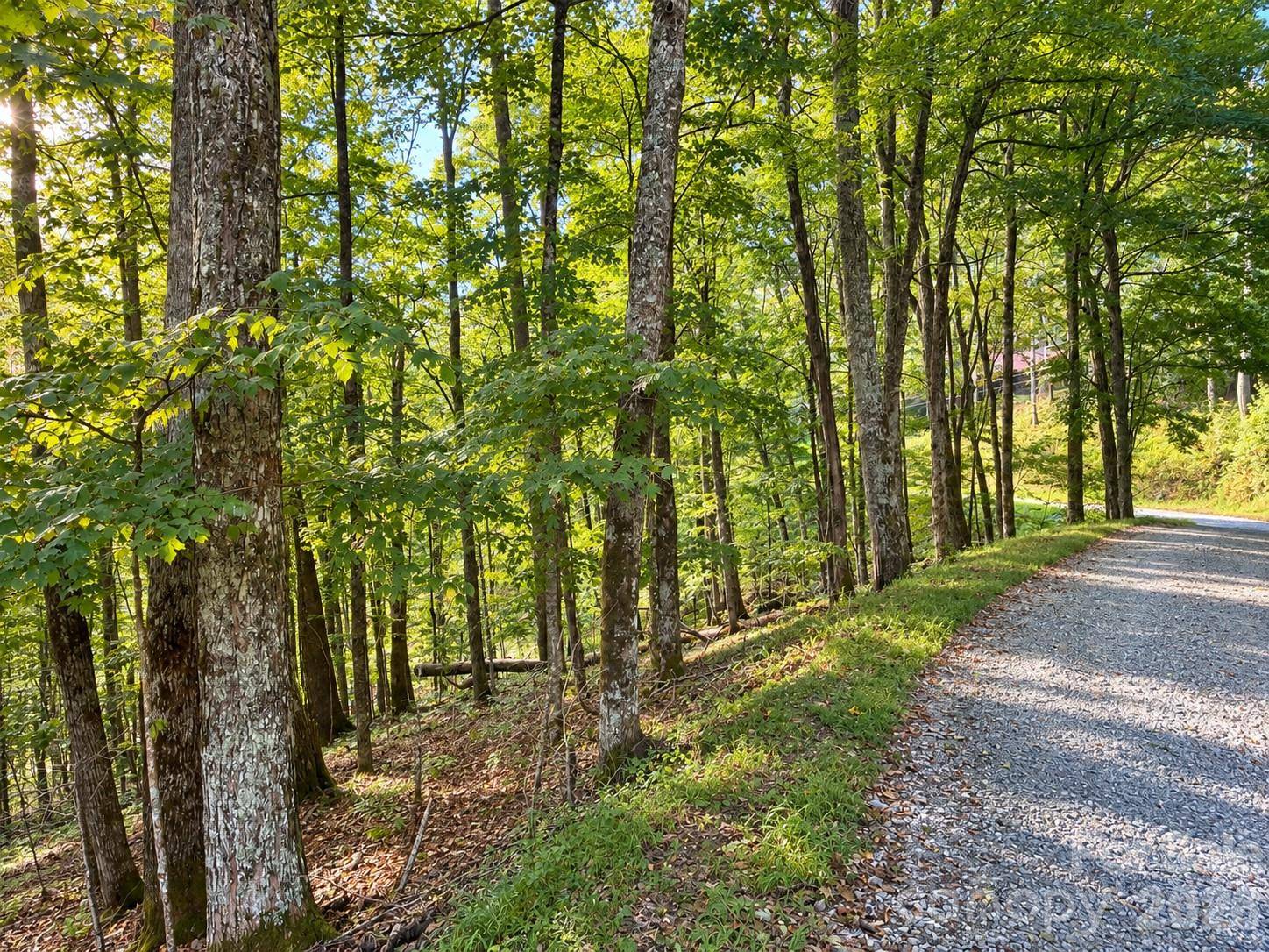 LOT 115 Sugar Tree LN #115, Mars Hill, NC 28754