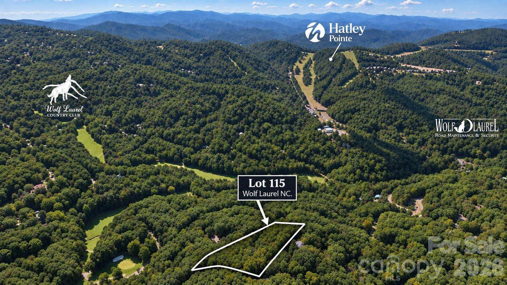 LOT 115 Sugar Tree LN #115, Mars Hill, NC 28754
