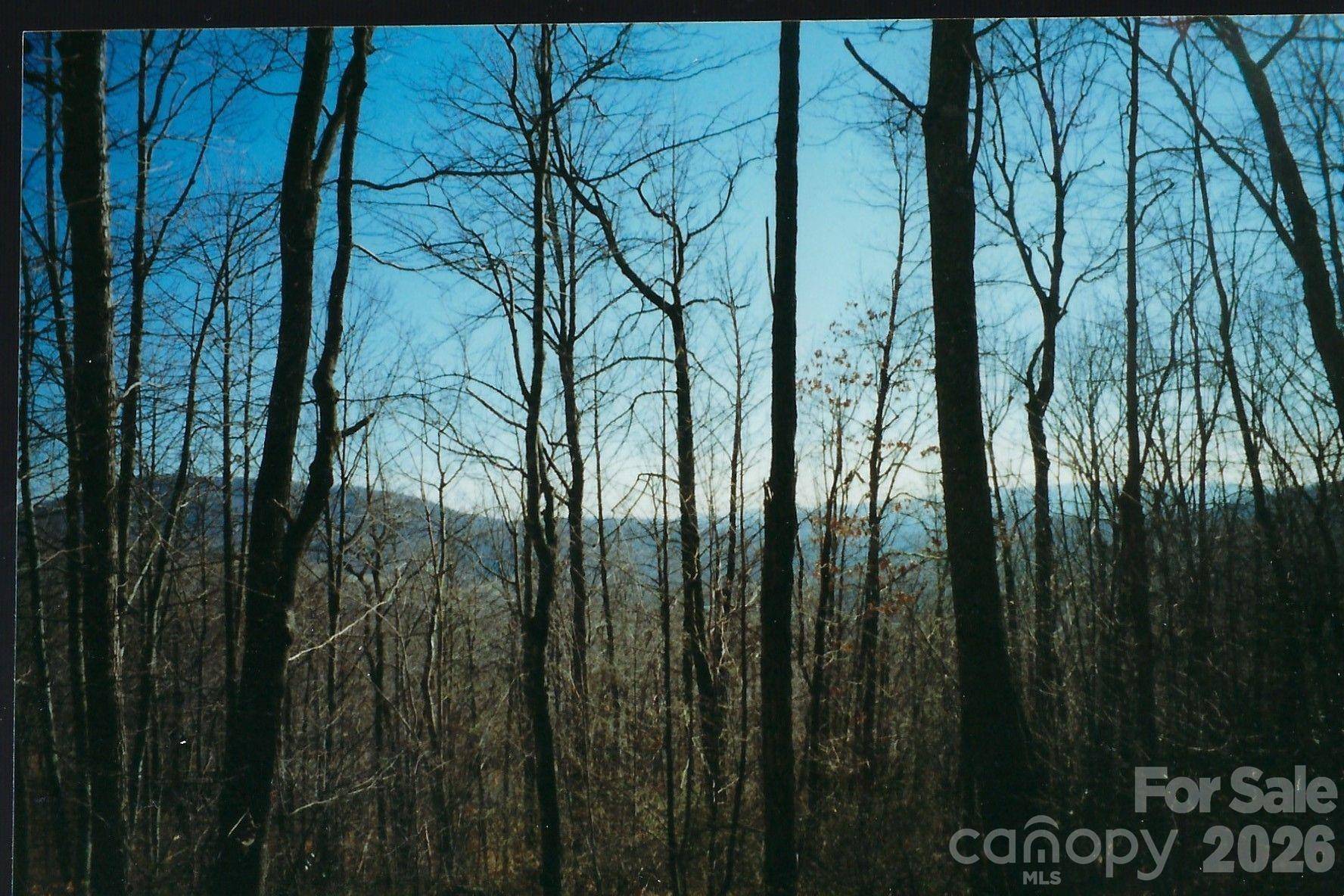 Lot #35 Damselfly CT, Spruce Pine, NC 28777