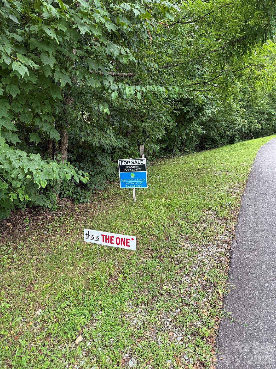 Lot #35 Damselfly CT, Spruce Pine, NC 28777