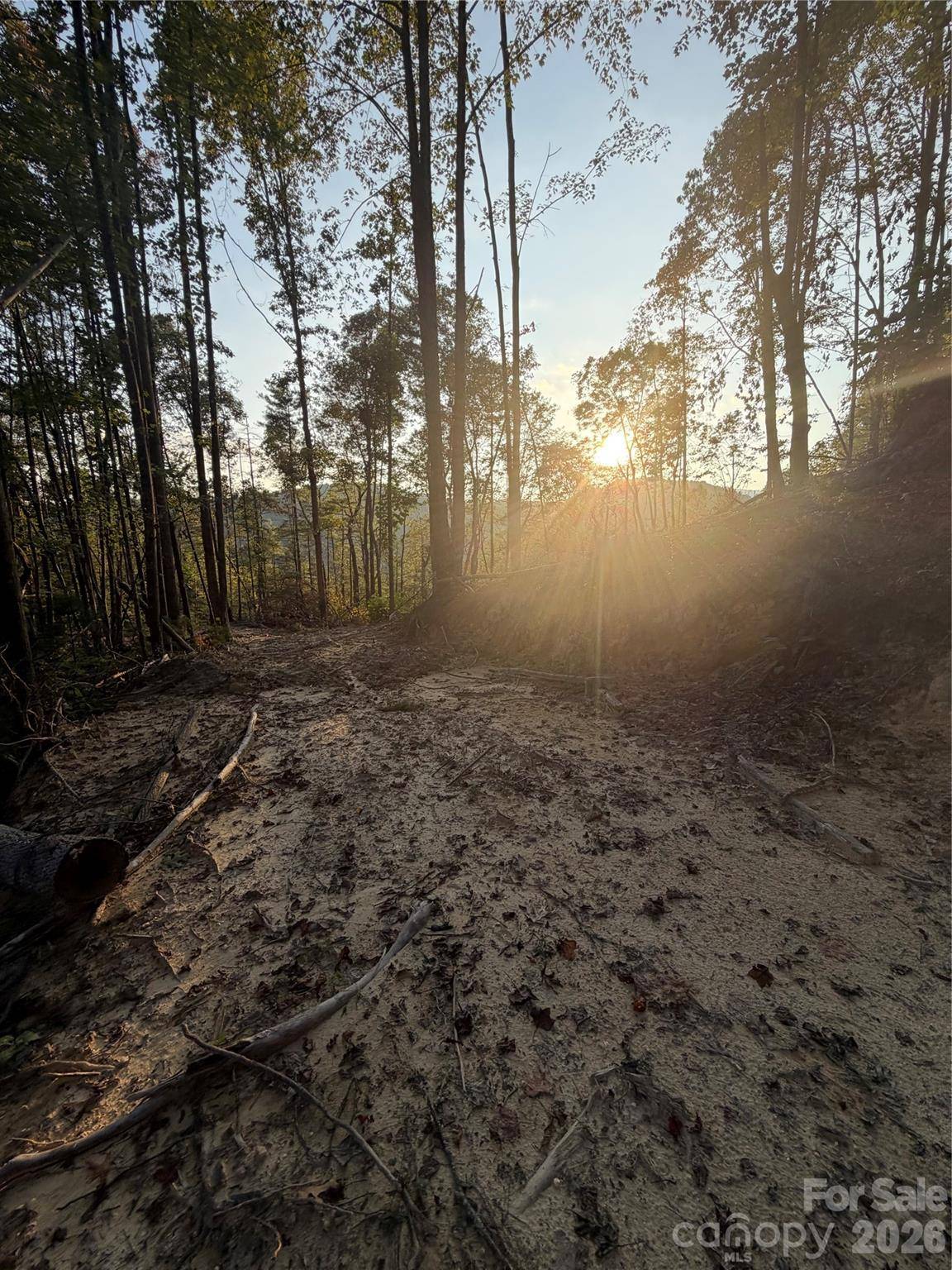 TBD Lot 2 Old Nc highway 16 None, Millers Creek, NC 28651