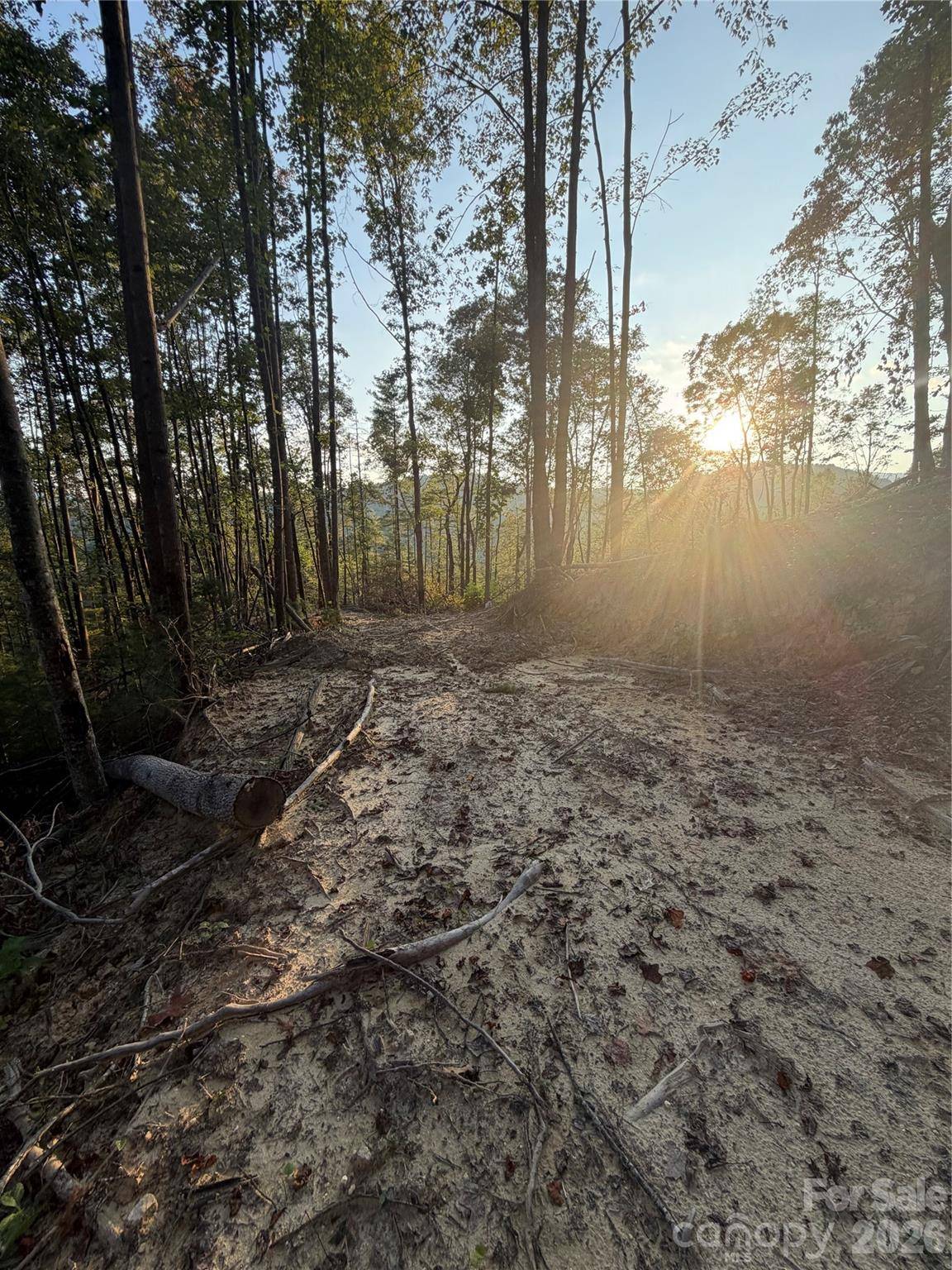 TBD Lot 2 Old Nc highway 16 None, Millers Creek, NC 28651
