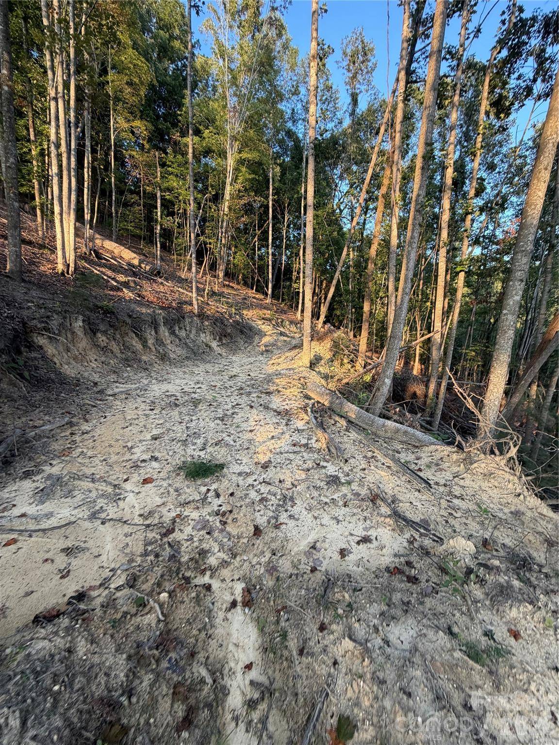TBD Lot 2 Old Nc highway 16 None, Millers Creek, NC 28651