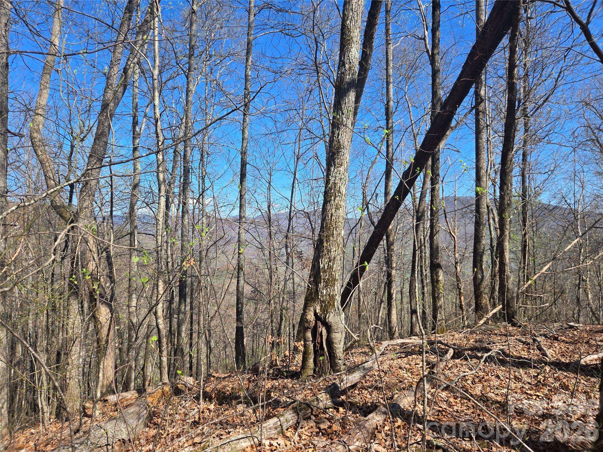 0000 Brasstown RD, Cullowhee, NC 28723