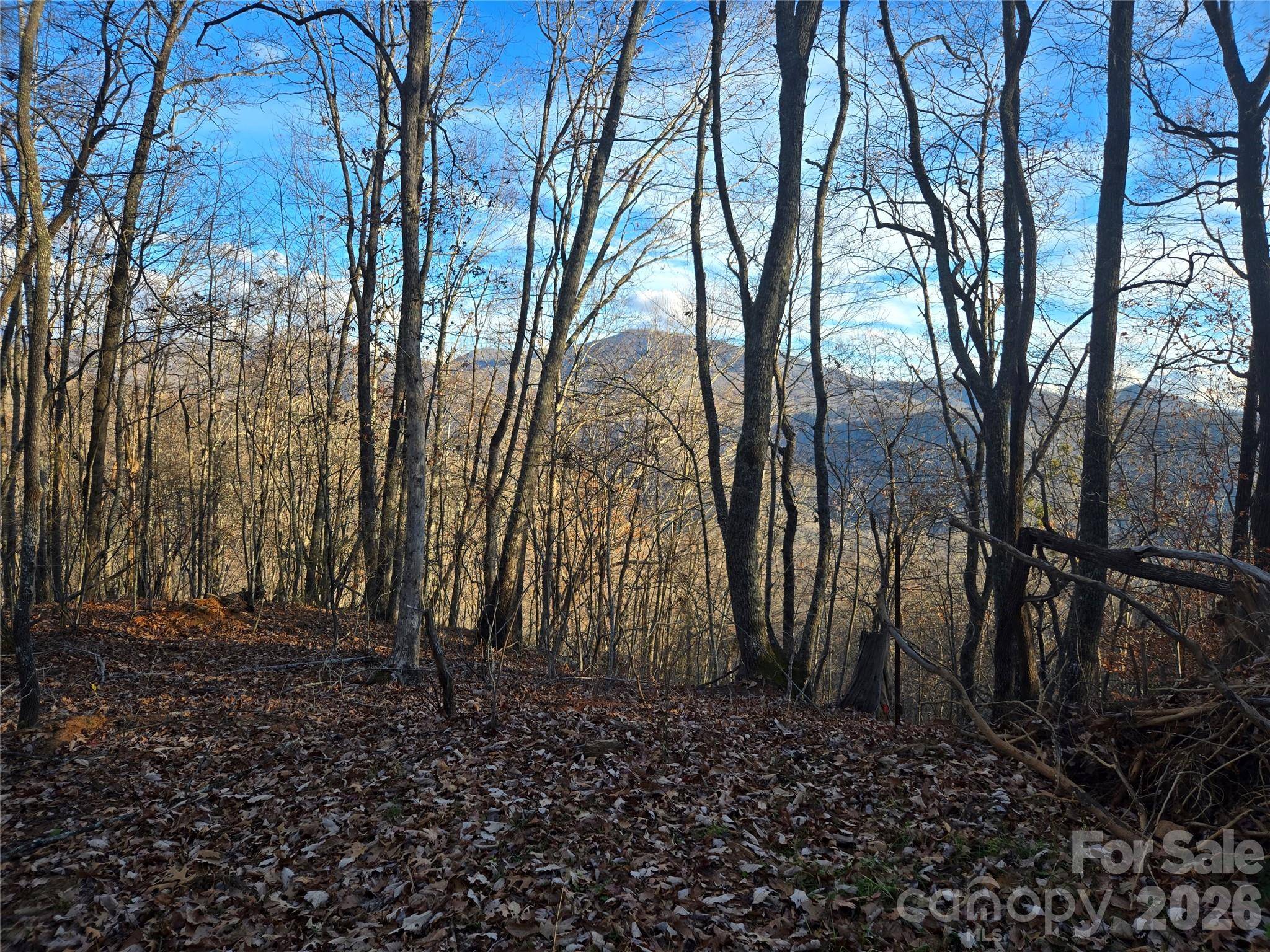 0000 Brasstown RD, Cullowhee, NC 28723