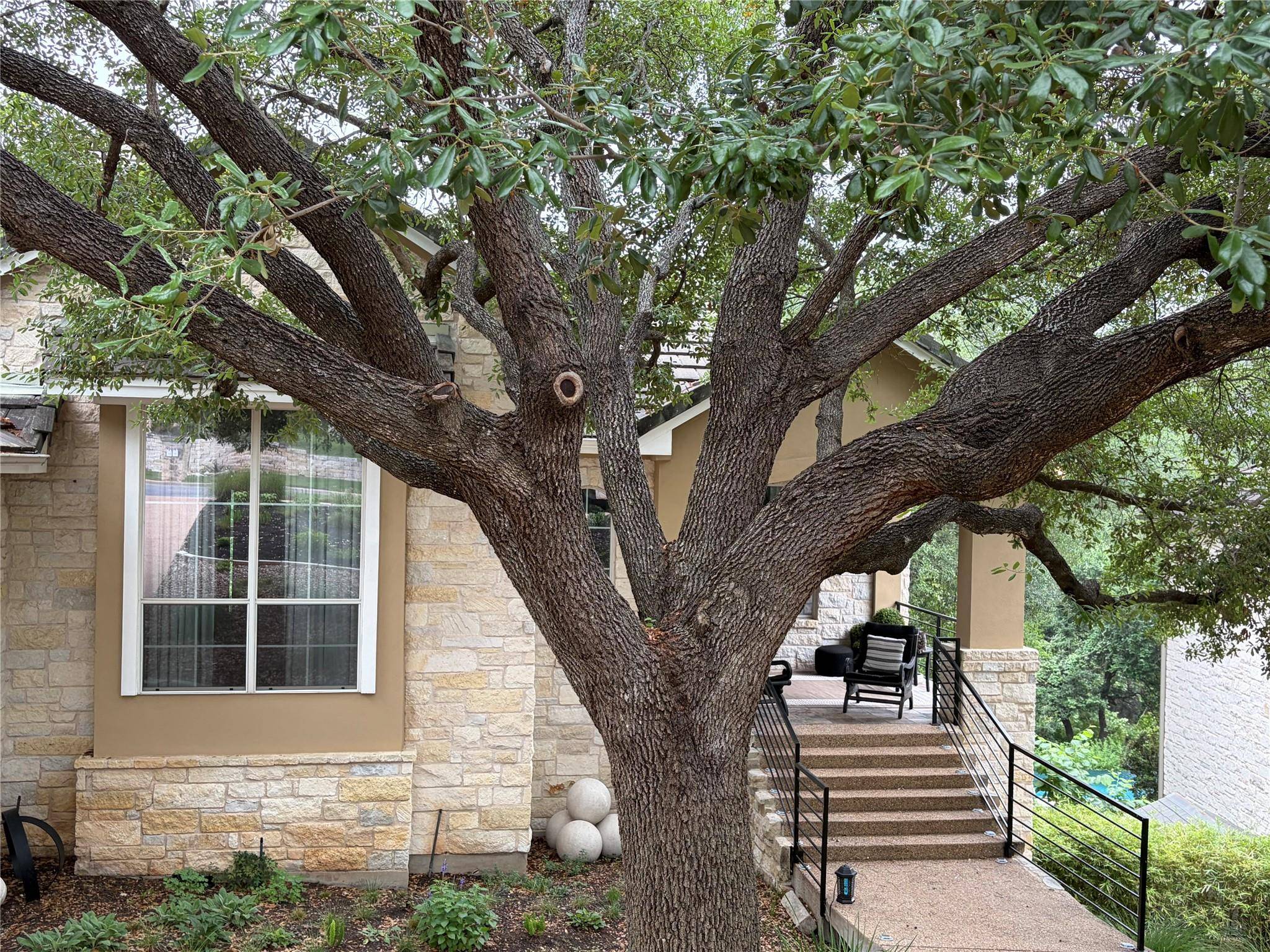 4225 Canoas DR, Austin, TX 78730