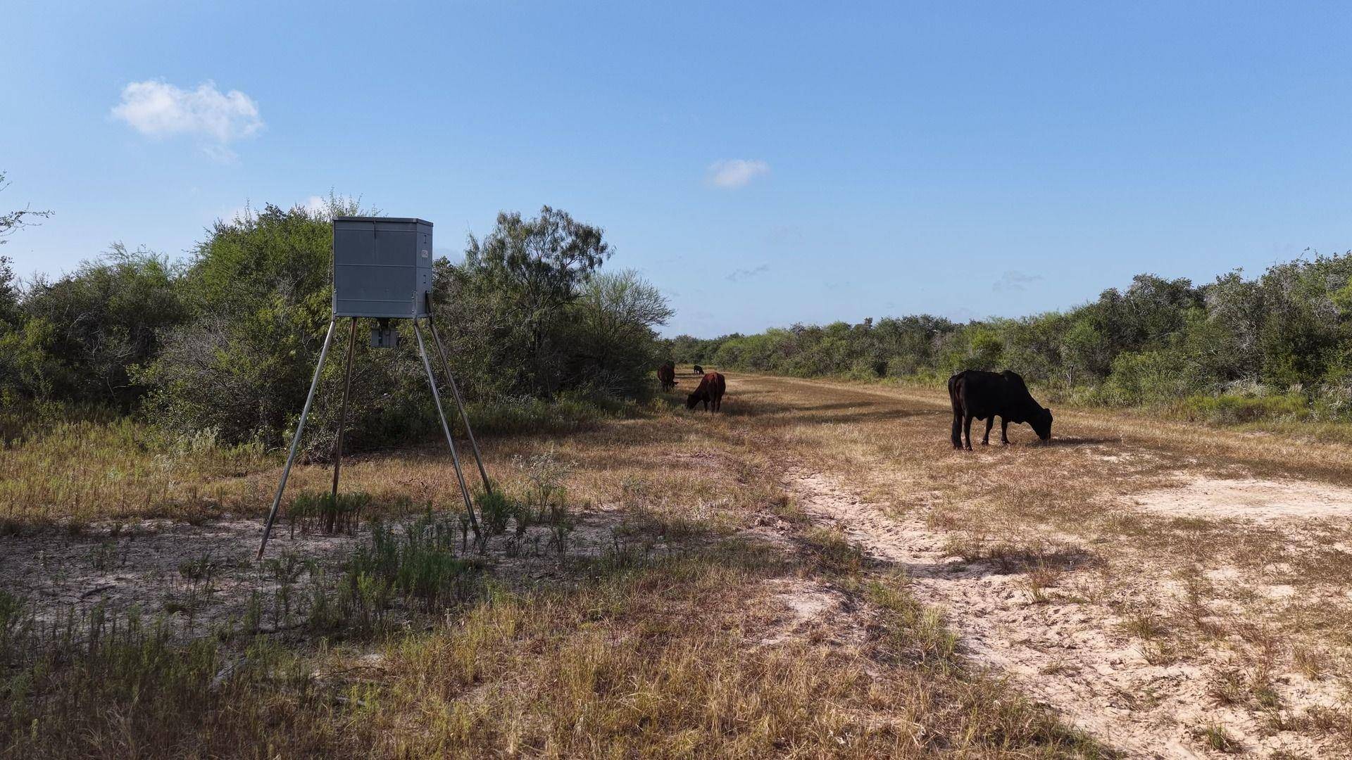 251 Old Goliad RD, Refugio, TX 78377