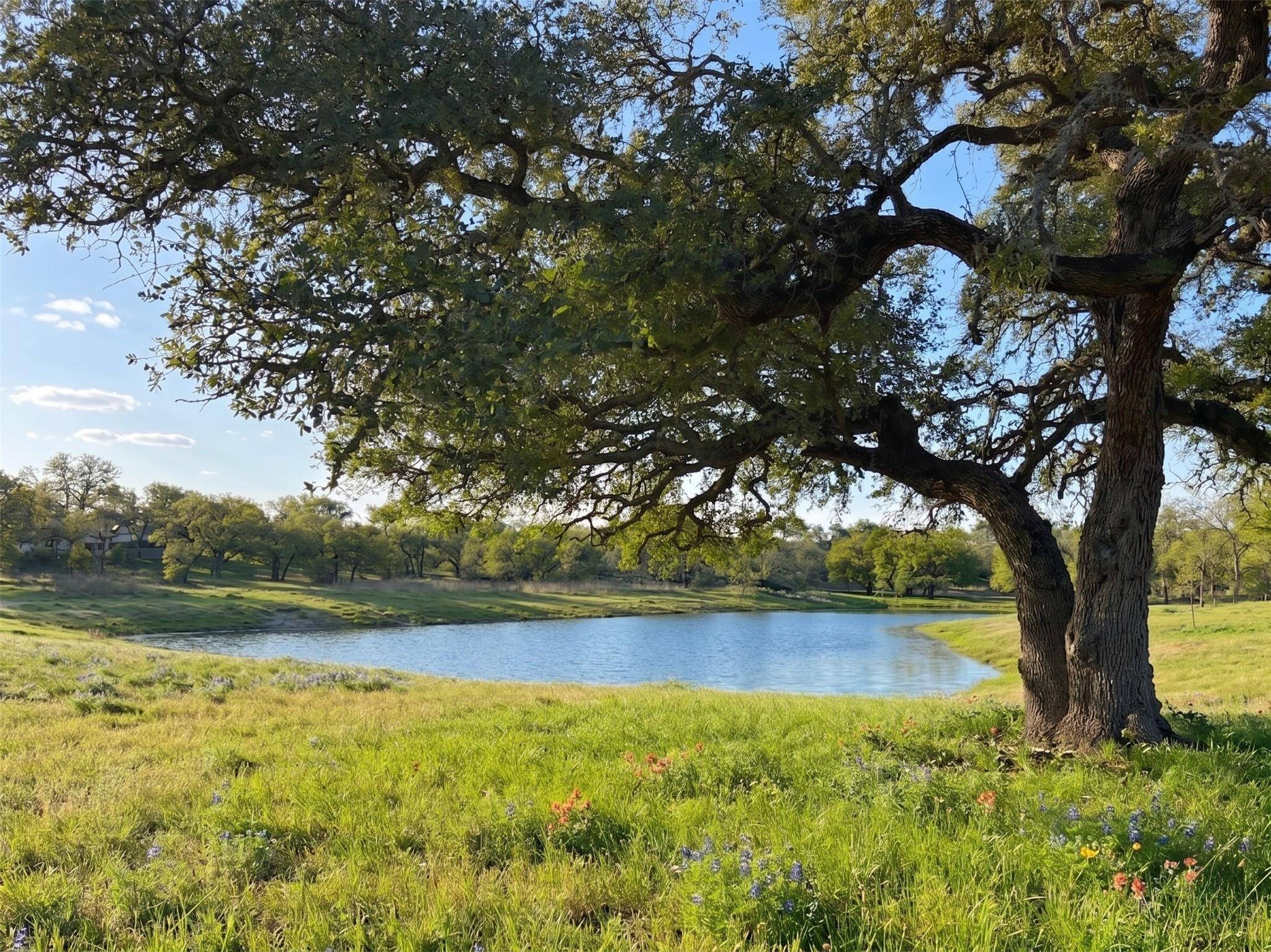 Lot 17 Gracewood WAY, Dripping Springs, TX 78620