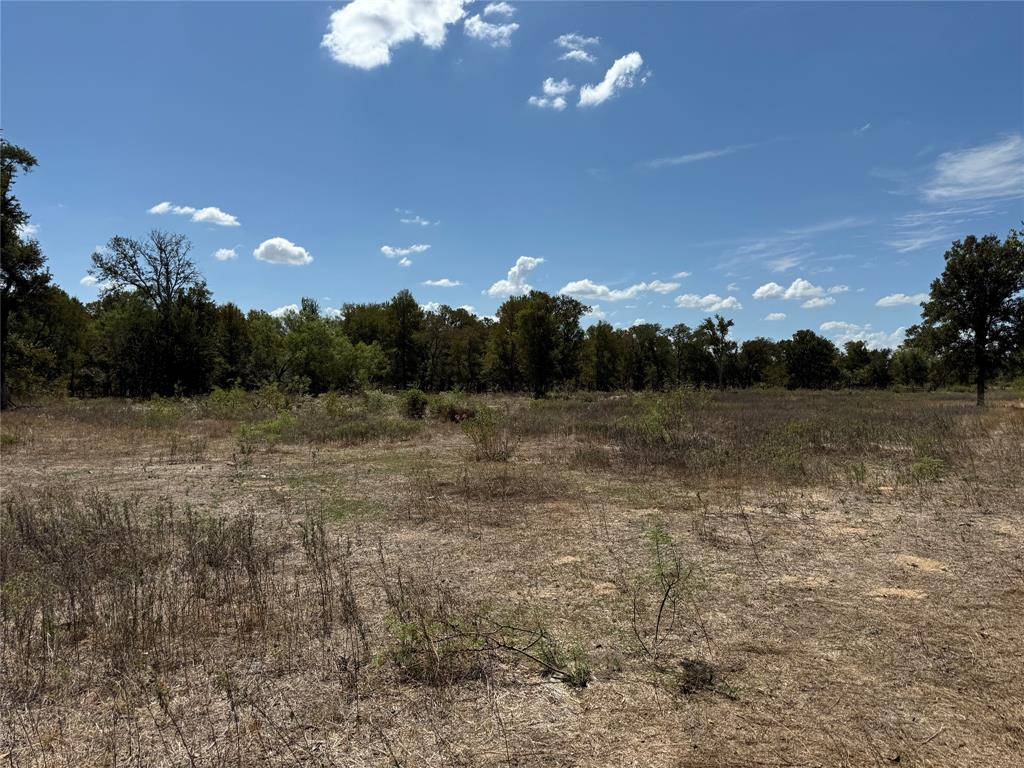 1.67 S BUS HWY-6, Marlin, TX 76661