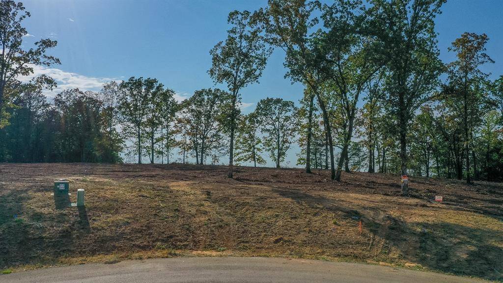 19478 CEDARPARK Place, Lindale, TX 75771