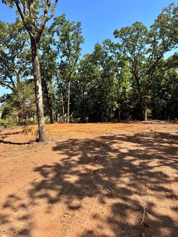 TBD CEDARPARK Place, Lindale, TX 75771