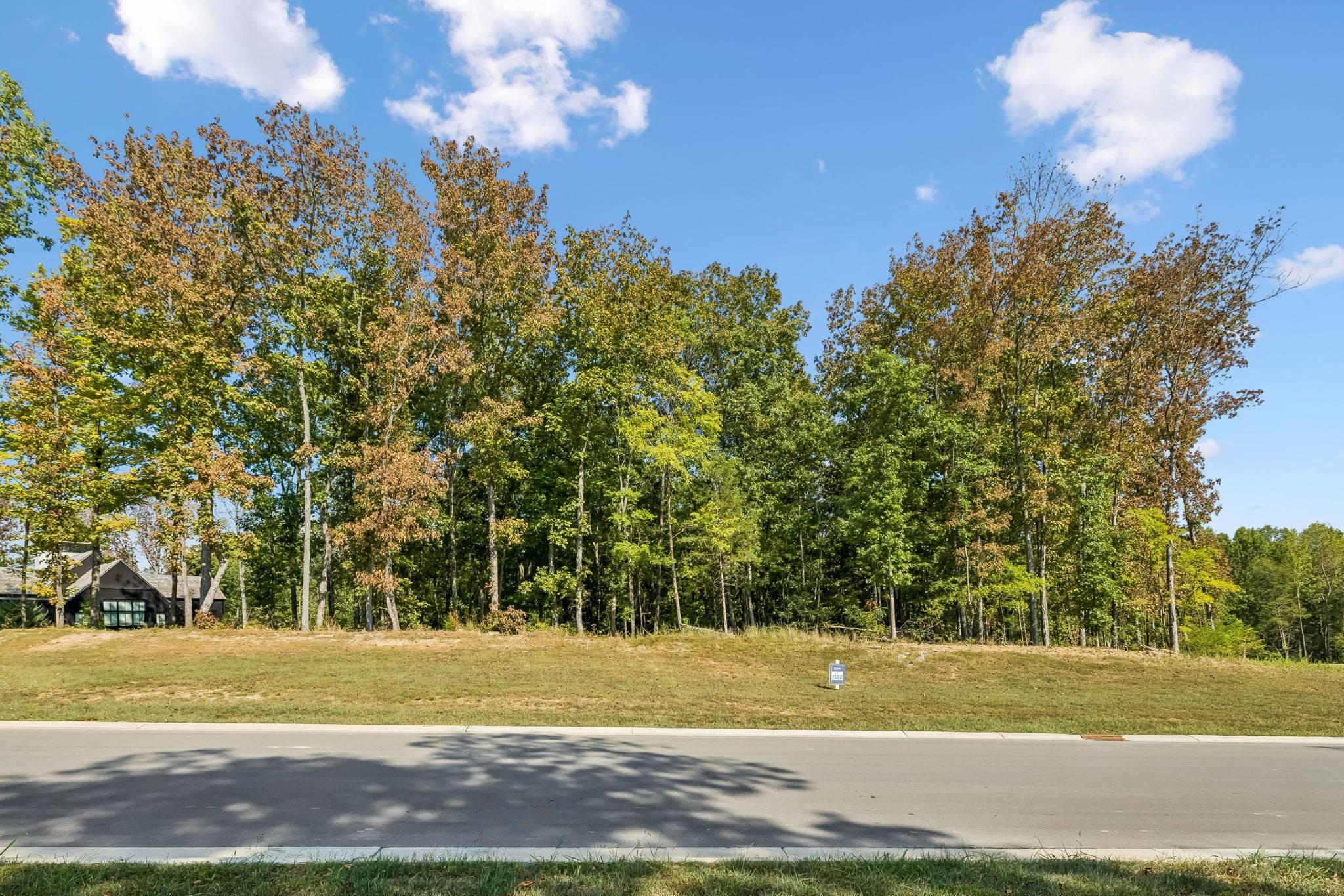 9211 Troubadour Dr, College Grove, TN 37046