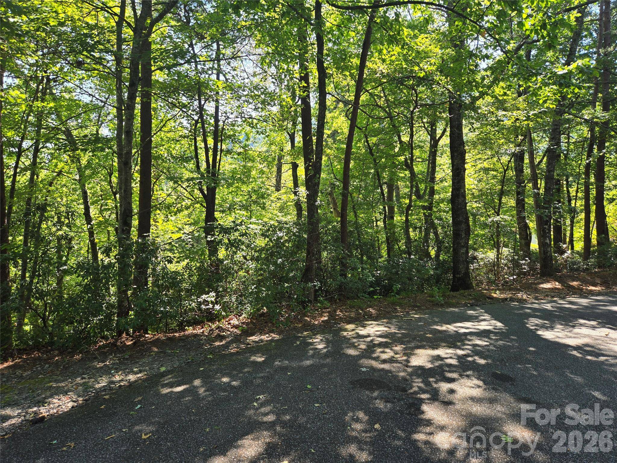 Lot 152 Sullivan LN, Lake Lure, NC 28746