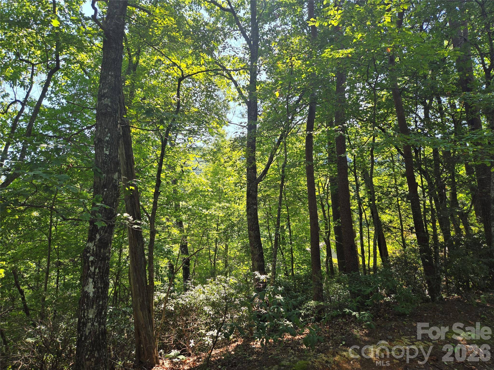 Lot 152 Sullivan LN, Lake Lure, NC 28746