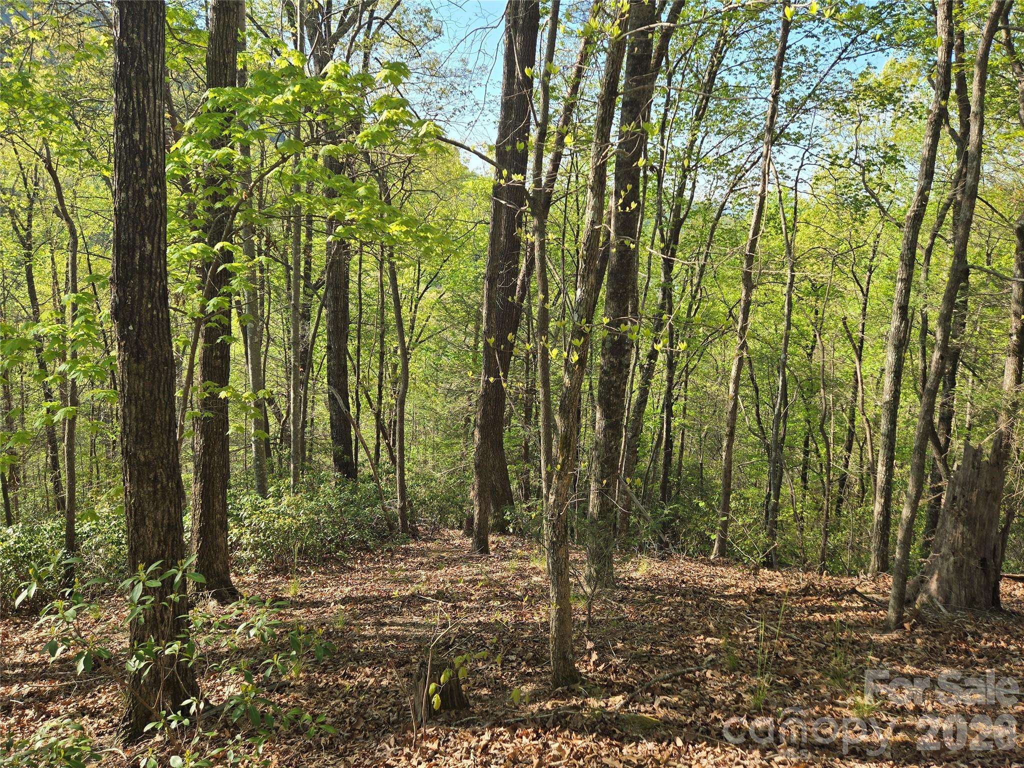 Lot 164 Spanarkel LN, Lake Lure, NC 28746